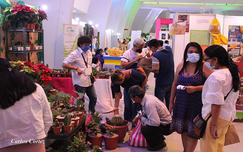 Nicaragua Emprende, un espacio para el desarrollo de la economía local
