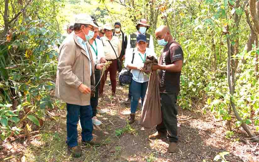 Zoocriadero libera garrobos e iguanas criados en cautiverio