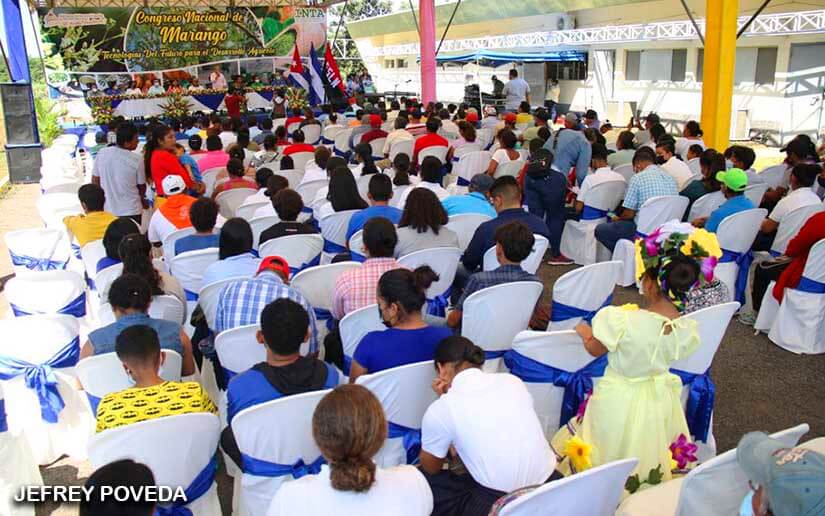 Dedican congreso sobre marango al Comandante Fidel Castro