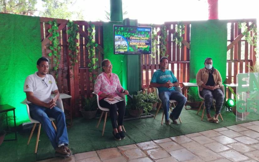 Nicaragua apunta a un mayor desarrollo de las plantaciones energéticas