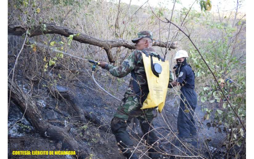 Ejército participó en sofocación de incendio forestal en comarca Nejapa