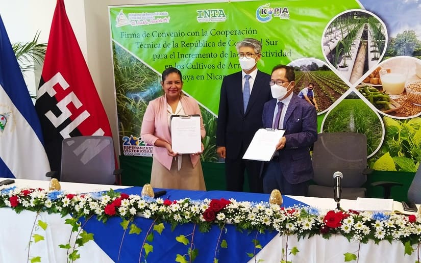 INTA y Centro Kopia de Corea firman nuevos proyectos de arroz, soya y frijol
