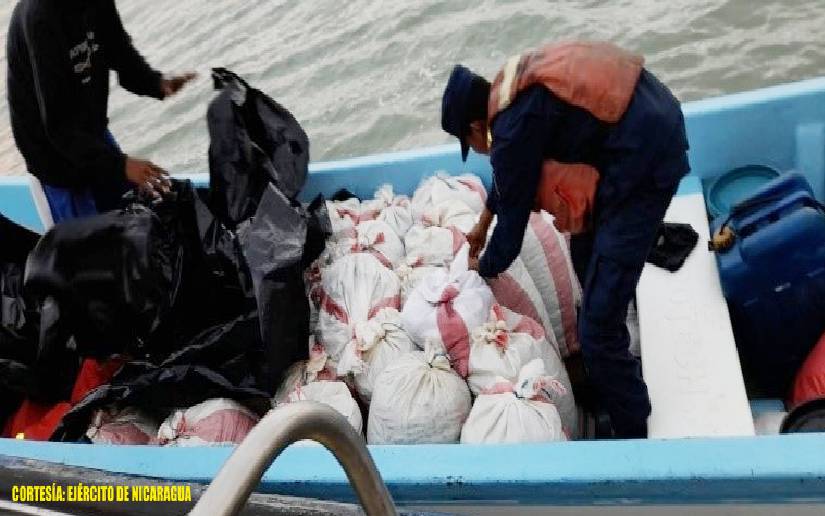 Fuerza Naval ejecuta medidas pesqueras con pepino de mar confiscado en Caribe Norte