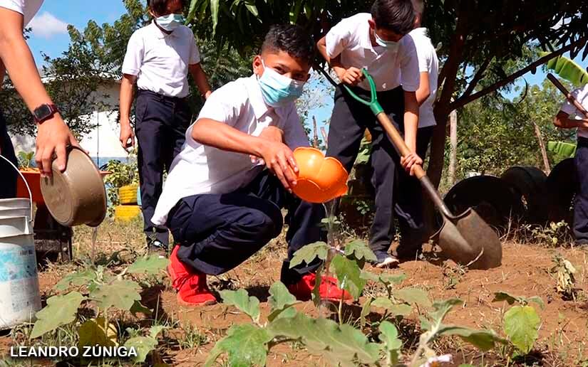 Comunidad educativa celebra Día de la Educación Ambiental con instalación de huertos