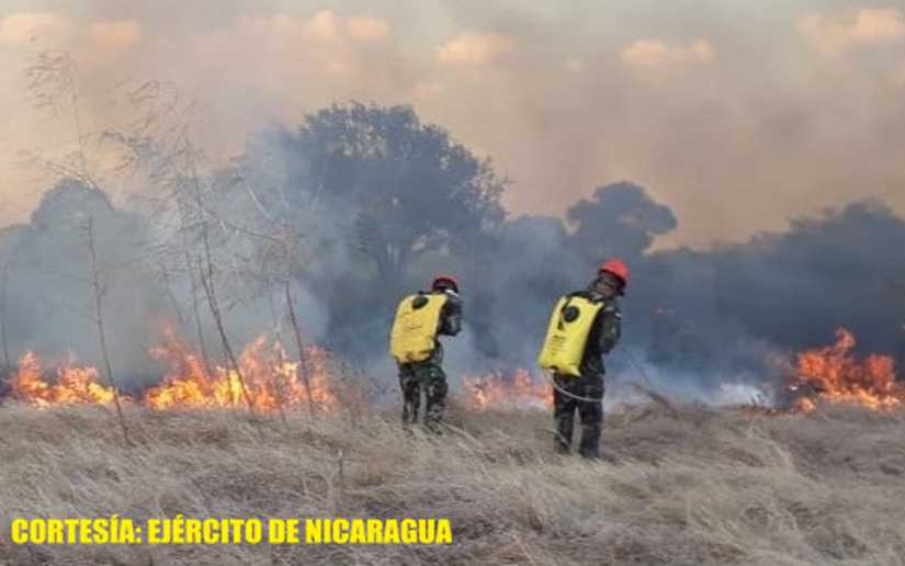 Se instaló el Plan Nacional de Prevención e Incendios Forestales y Agropecuarios