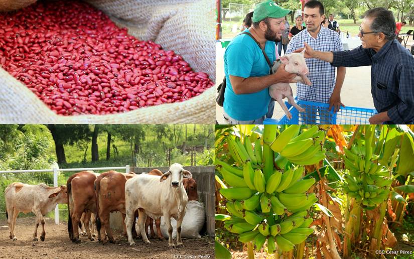 Estos son los logros del Sistema de Producción, Consumo y Comercio en