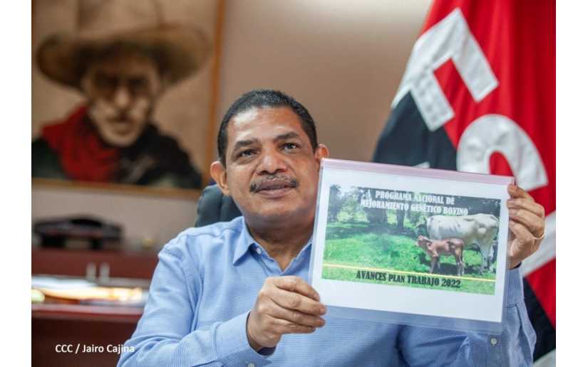 Presentan informe de la reunión semanal del Sistema de Producción