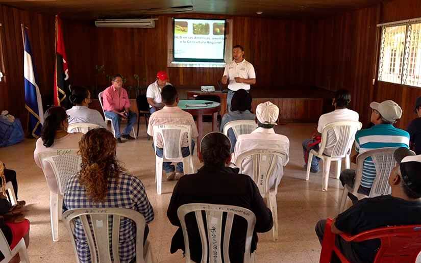 Gobierno de Nicaragua capacita a productores en el manejo y combate de las plagas