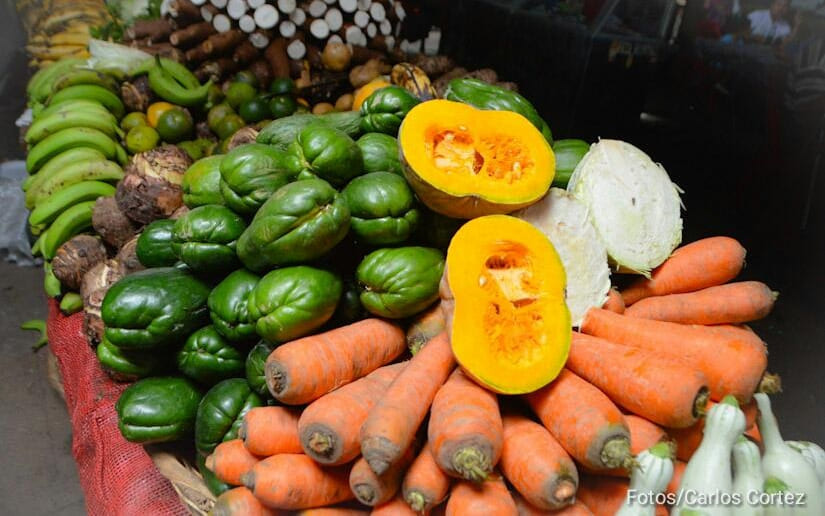 Conozca el crecimiento productivo agropecuario en Nicaragua