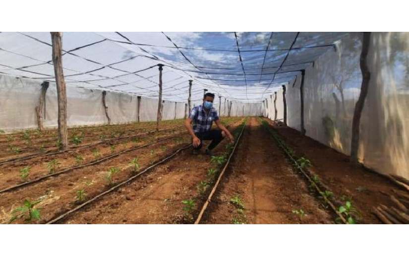 Huertos familiares contra el cambio climático en Ciudad Darío, Matagalpa