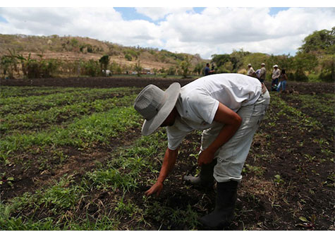 Familias campesinas protagonizan esfuerzos para cuidar la Madre Tierra en Nicaragua