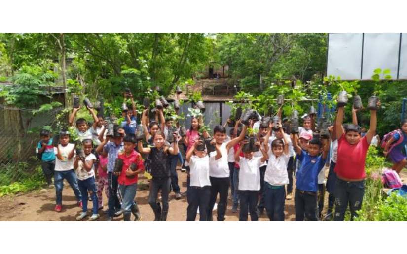 Reforestación con estudiantes de primaria en San Ramón