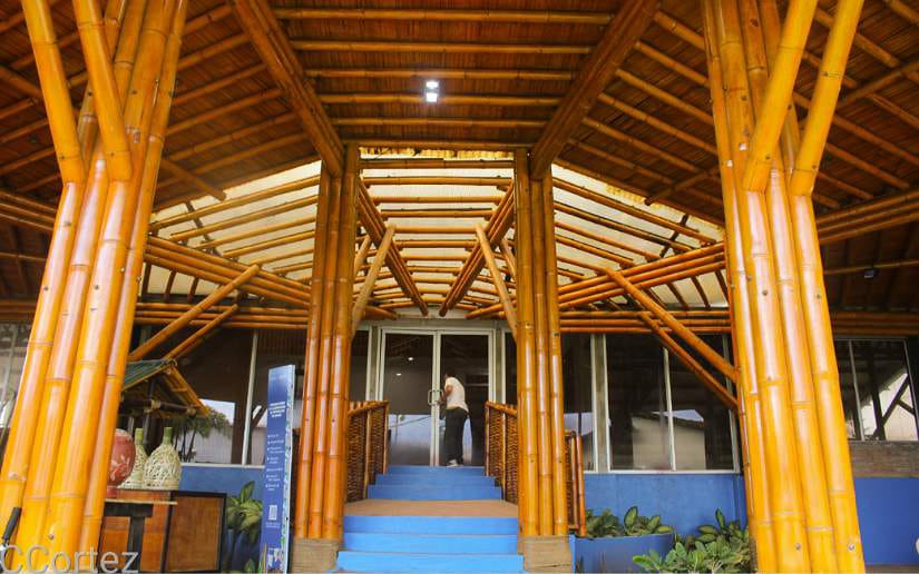 Mefcca imparte curso intensivo sobre bambú a docentes del CNU