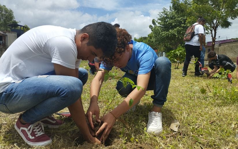 Siembran árboles en homenaje al Comandante Carlos Fonseca en Managua