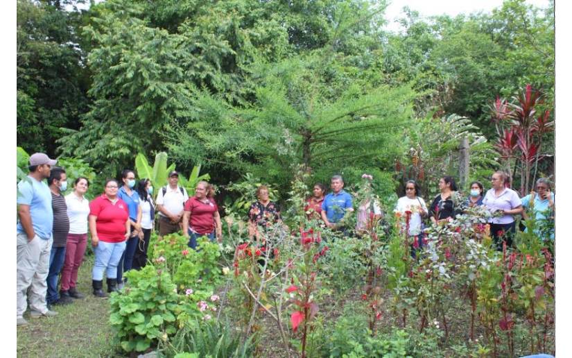 Lanzan Concurso Jardines de Mi Pueblo en San Ramón