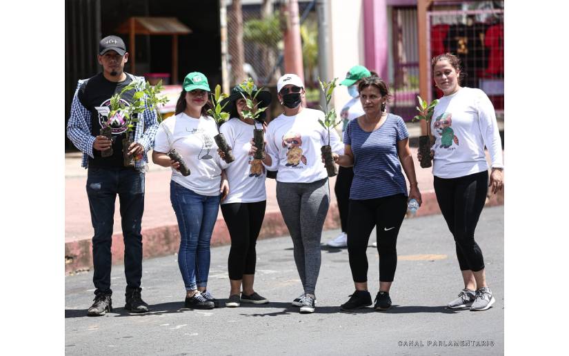 Inafor celebra el Día Nacional del Árbol con zumbatón, música y entrega de  árboles