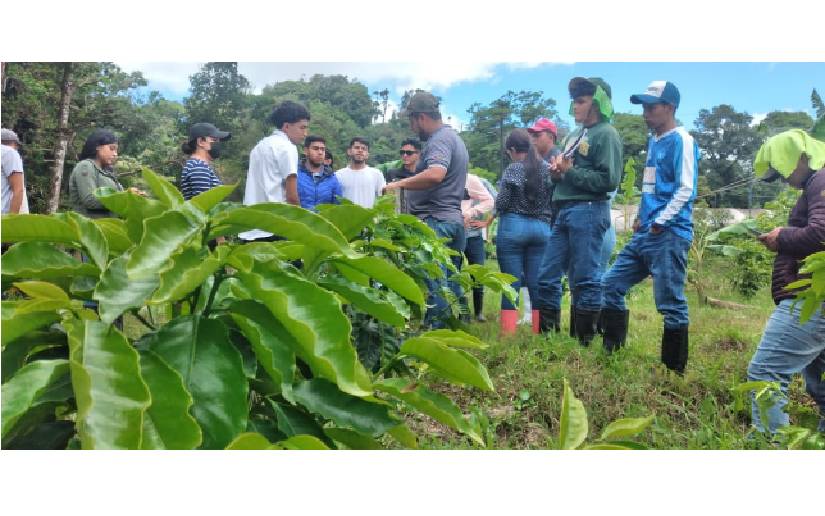 Estudiantes de Agronomía visitan el Centro Tecnológico de Café San José de Las Latas