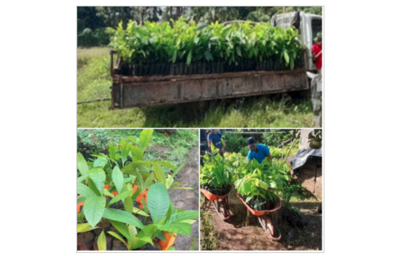 Nicaragua reforesta fuentes de agua y plantas de tratamiento 