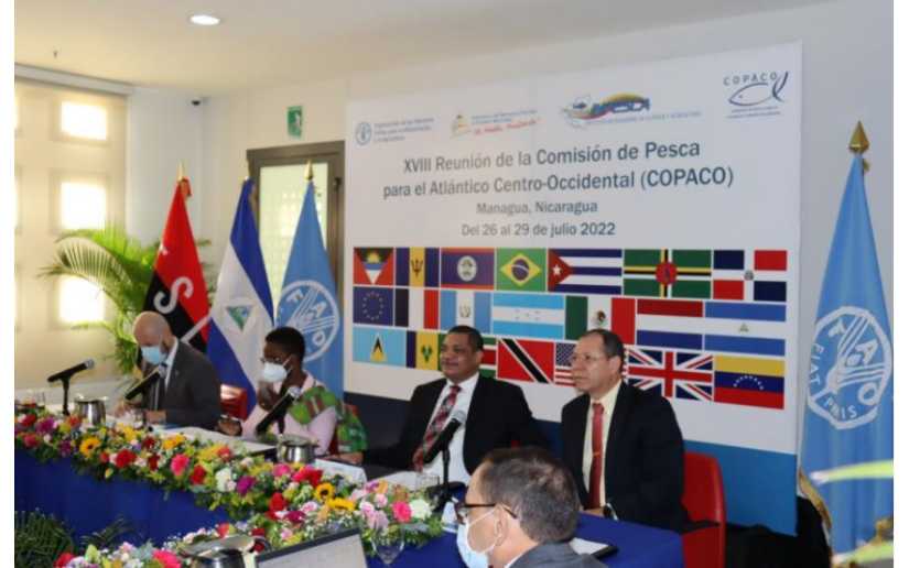 Nicaragua sede de la 18va reunión anual de la Comisión de Pesca (Copaco)