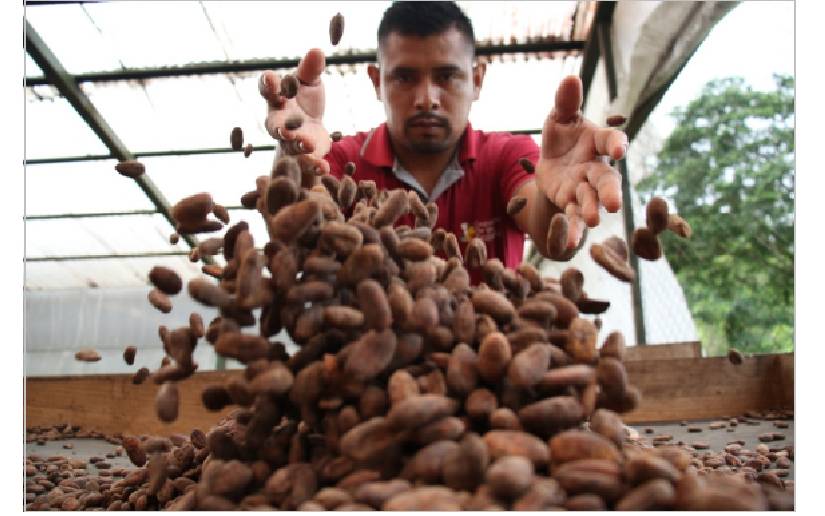 Visitan cooperativa de Cacao Flor de Dalia en Matagalpa