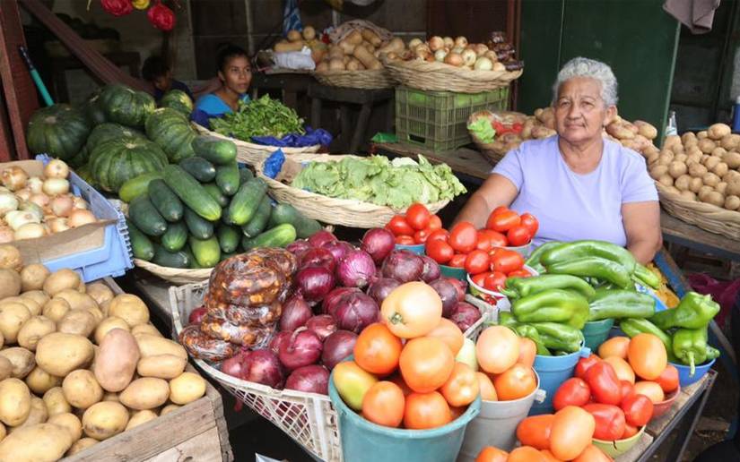 Avanza producción nacional de hortalizas en Nicaragua