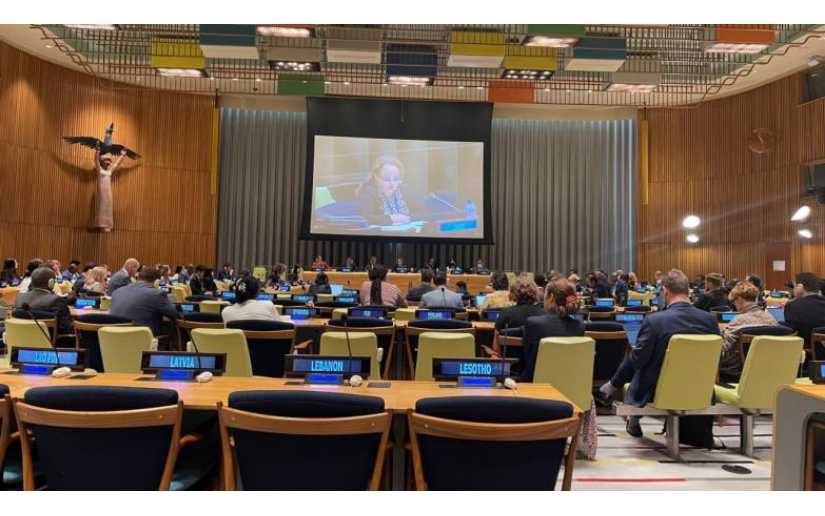 Cuál Fue La Principal Función Del Comité Ad Hoc www.el19digital.com