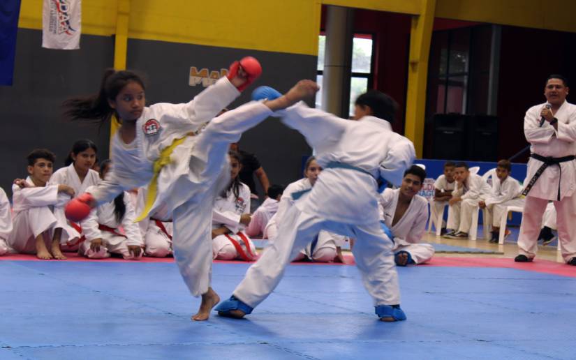 Celebran festival de exhibición de combates de artes marciales