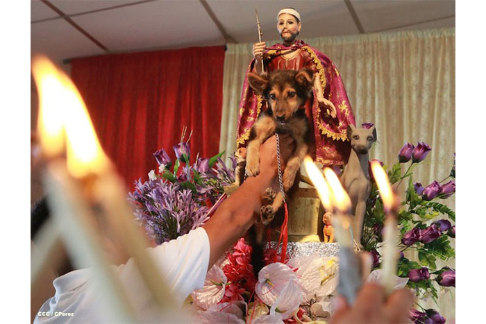 Católicos celebran a San Lázaro en Masaya