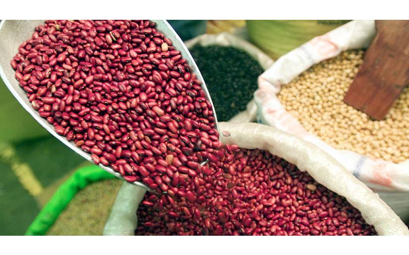Cosecha de primera de maíz y frijol en Nicaragua presenta crecimiento en su producción