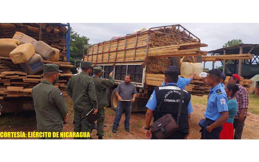 Ejército de Nicaragua realiza ocupación de madera en Puerto Cabezas