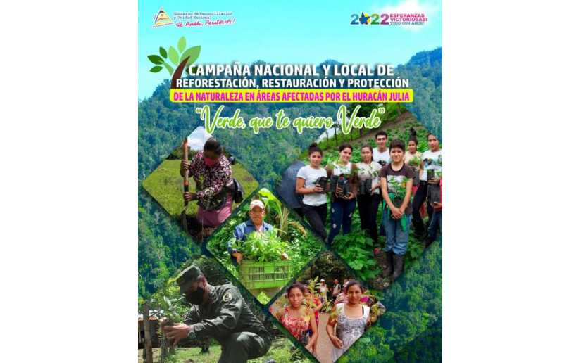 Nicaragua lista para ejecutar el Plan de Reforestación Verde, que te quiero verde