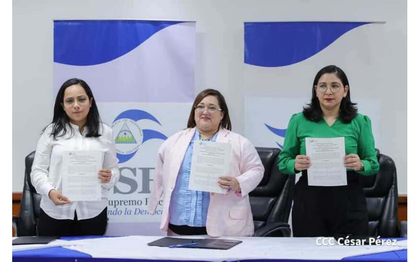 Procuradores electorales de la PGR y PDDH participarán en los comicios municipales 2022