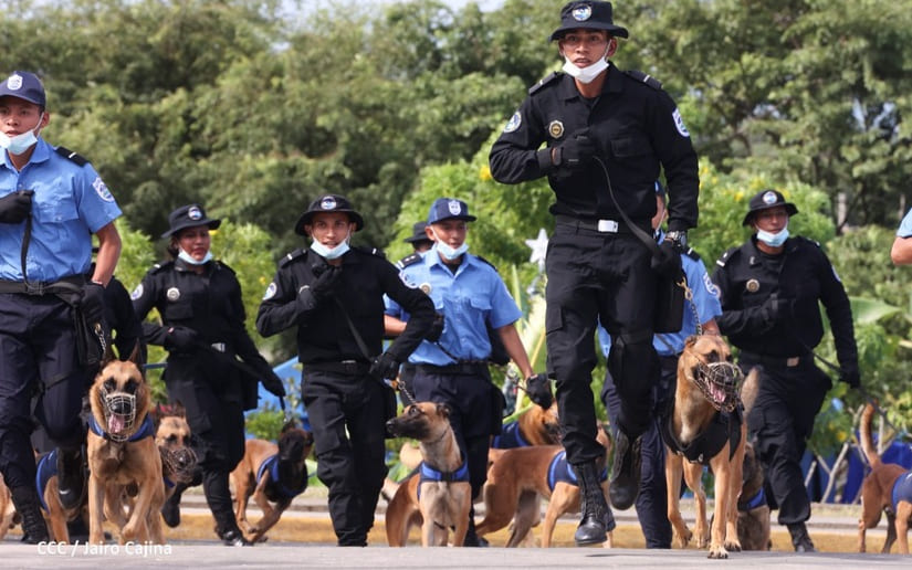 Nicaragua cuenta con 25 nuevos oficiales de técnica canina