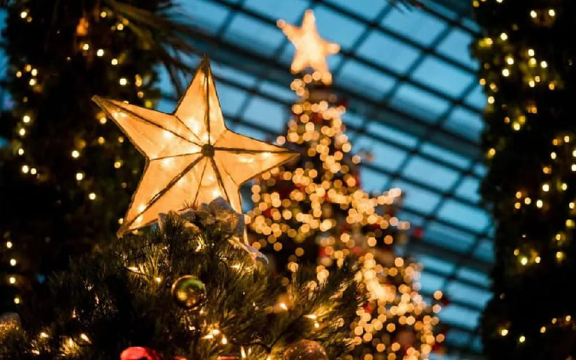 Detalles del Momento: Navidad