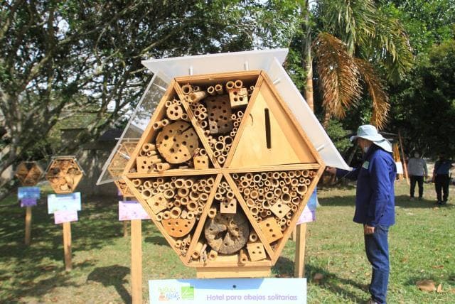 Hoteles para abejas, un nuevo invento ecológico en Colombia