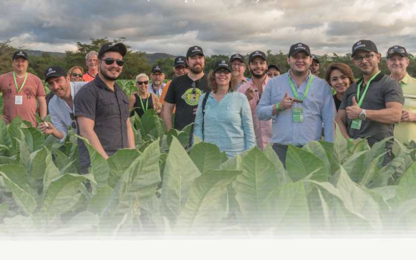 Décima edición del Festival de Tabaco “Puro Sabor” 2023