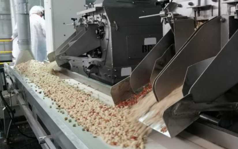 Nicaragua: Producción de maní generó 107.1 millones de dólares en el 2022