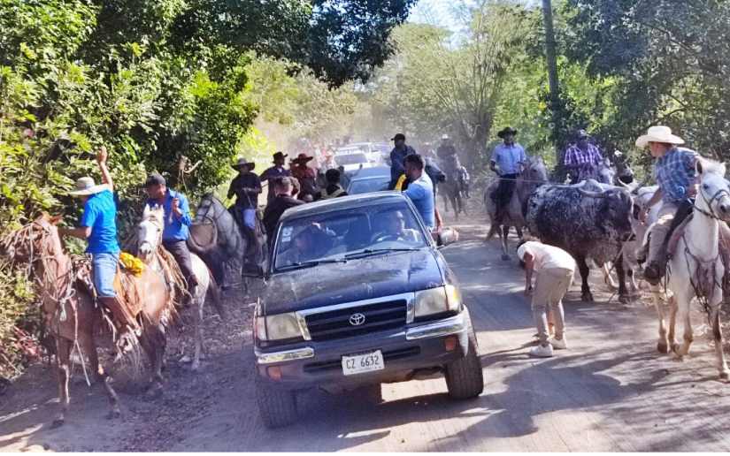 Realizan tradicional tope de toros en Santa Teresa, Carazo