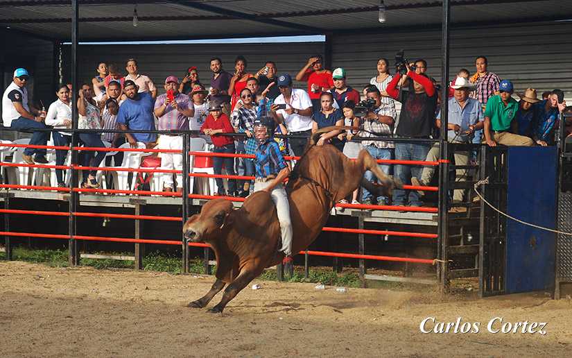 Familias disfrutarán 8 mil actividades este fin de semana festivo y colorido