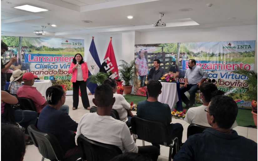 INTA realiza lanzamiento de clínica virtual para ganado bovino
