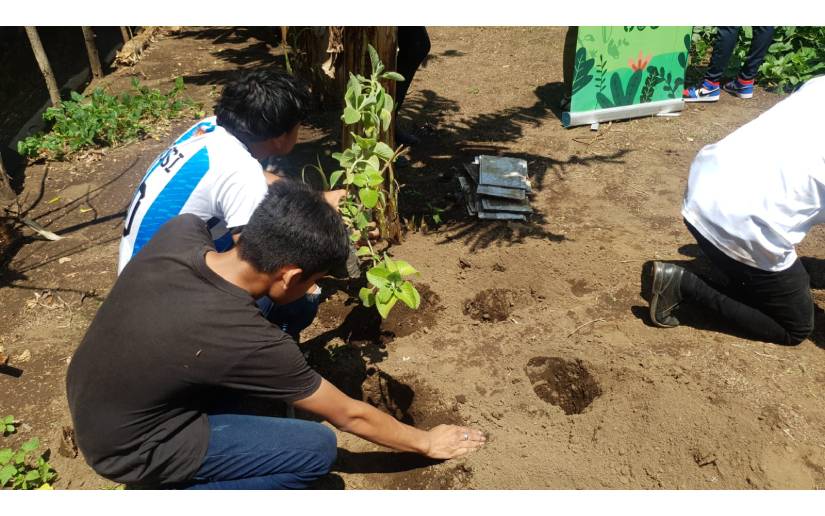 Movimiento Ambientalista instalan viveros con plantas medicinales