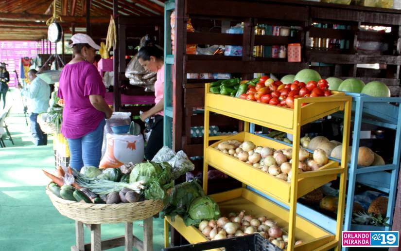 Conozca los nuevos espacios dentro del Mercadito Campesino