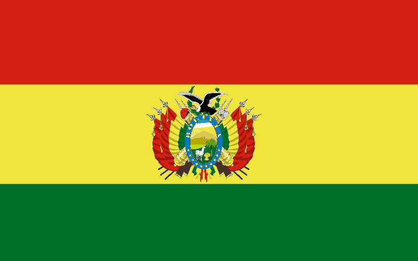 Bolivia no reconoce informe unilateral sobre Derechos Humanos