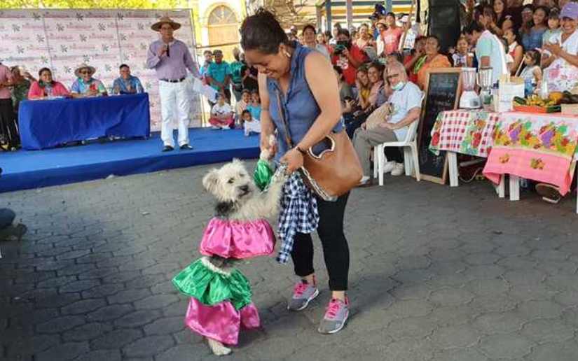 Pasarela canina en honor a San Lázaro en Monimbó