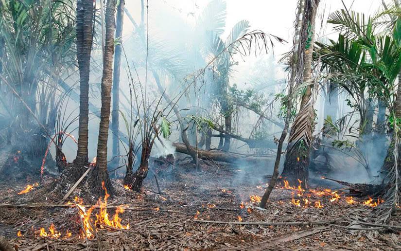 Este es el reporte de vigilancia y verificación de incendios al 28 de marzo del 2023