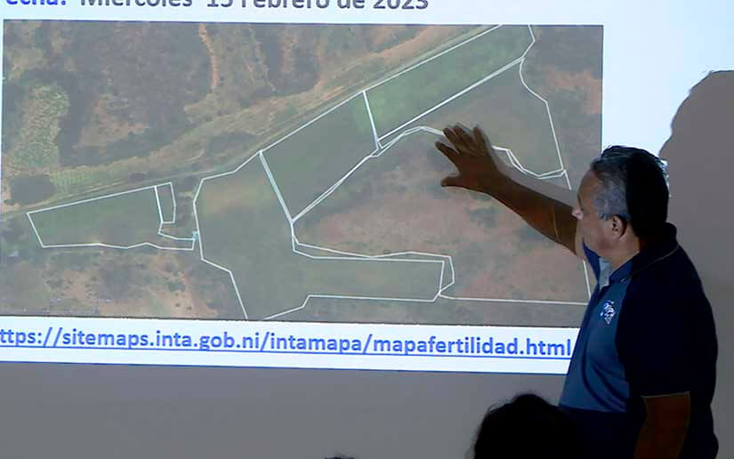 Presentan a productores nuevo mapa de nutrición y fertilización del suelo en Nicaragua