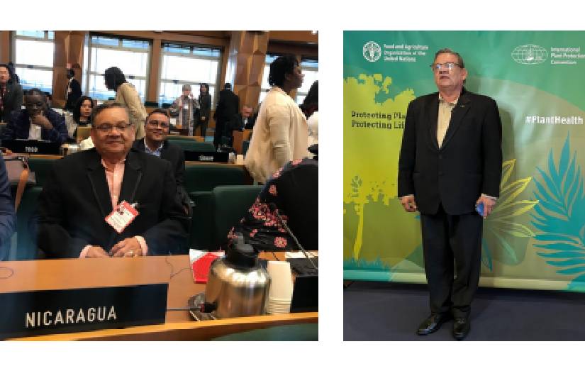 Delegación de Nicaragua presente en la Comisión de la FAO de Medidas Fitosanitarias