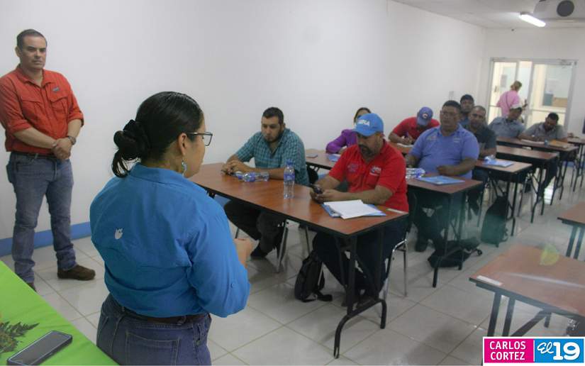 Técnicos de Nicaragua participan en curso sobre ganadería regenerativa