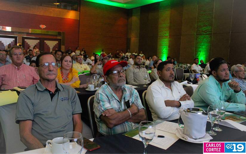 Concluye con éxito foro arrocero de Nicaragua y Centroamérica