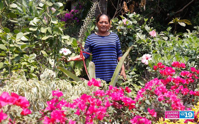Catarina deslumbra con sus flores y paisajes a los turistas